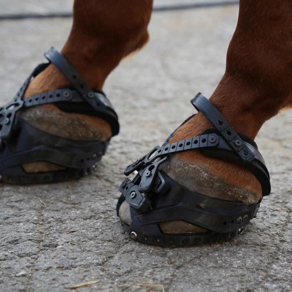 Adjustable Modular Hoof Protection Kit – Custom Fit, No-Slip Stability