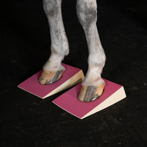 Advanced Horse Balance Training Set – Firm Stability & Core Strength Development Kit