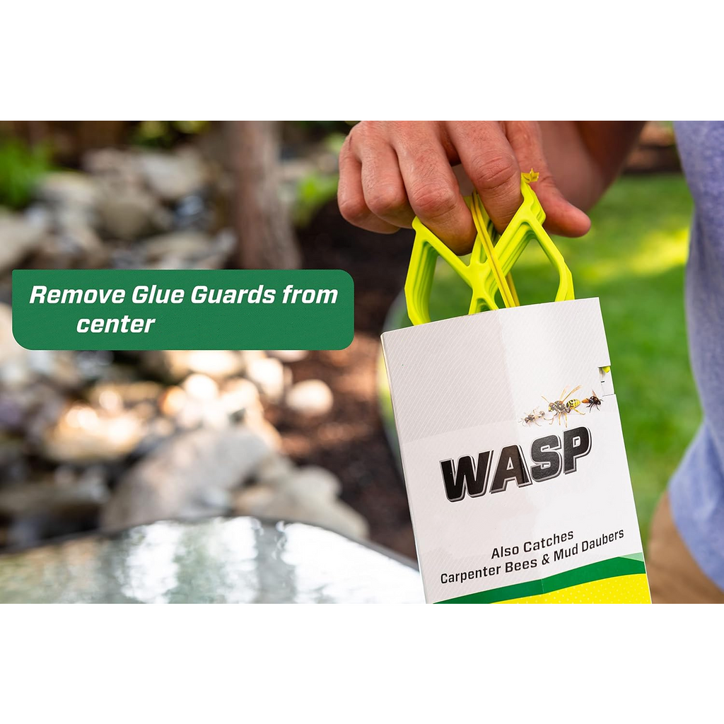 Trap Wasps, Mud Daubers & Bees Instantly!