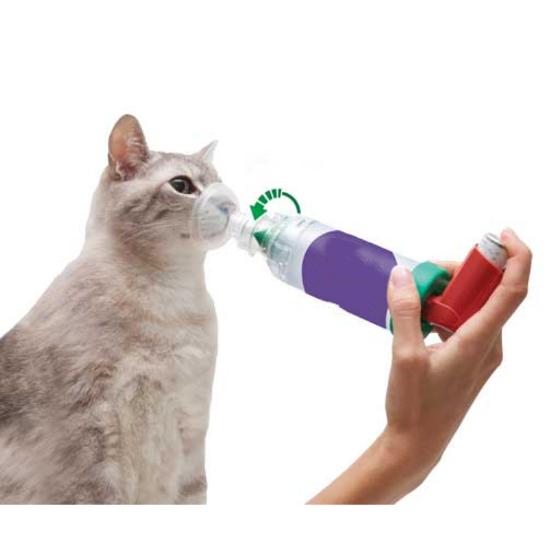 Advanced Pet Spacer Kit with Breath Indicator & Dual Soft Masks