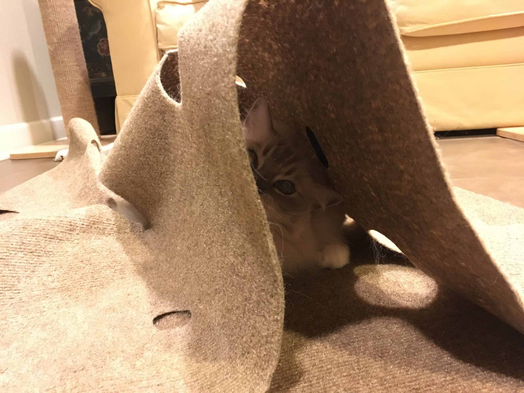 Interactive Transformable Adjustable Cat Play Mat with Tunnel Caves | Built for Scratching & Hunting