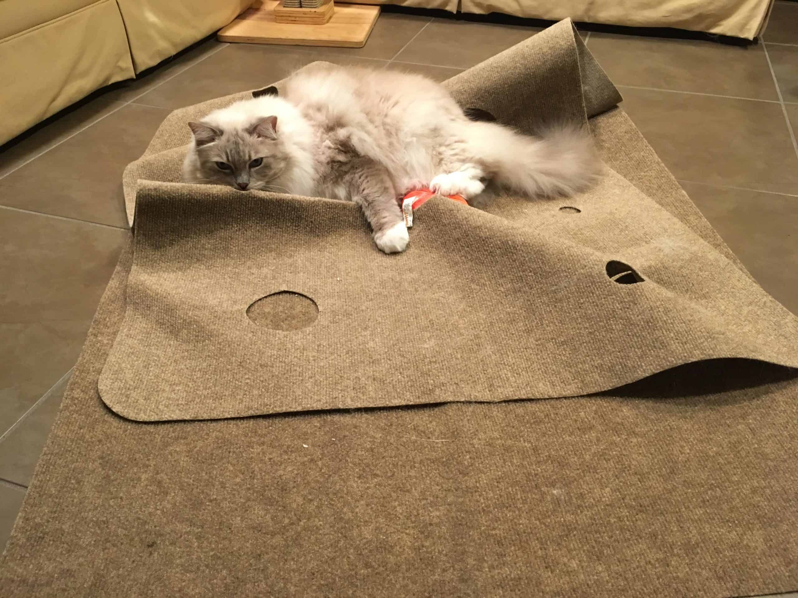 Interactive Transformable Adjustable Cat Play Mat with Tunnel Caves | Built for Scratching & Hunting