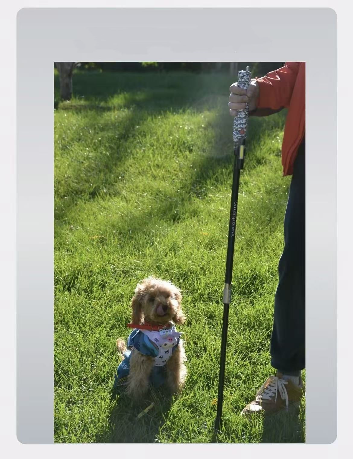Telescopic Electric Hiking Stick – Aviation Aluminum Outdoor Animal Deterrent Staff
