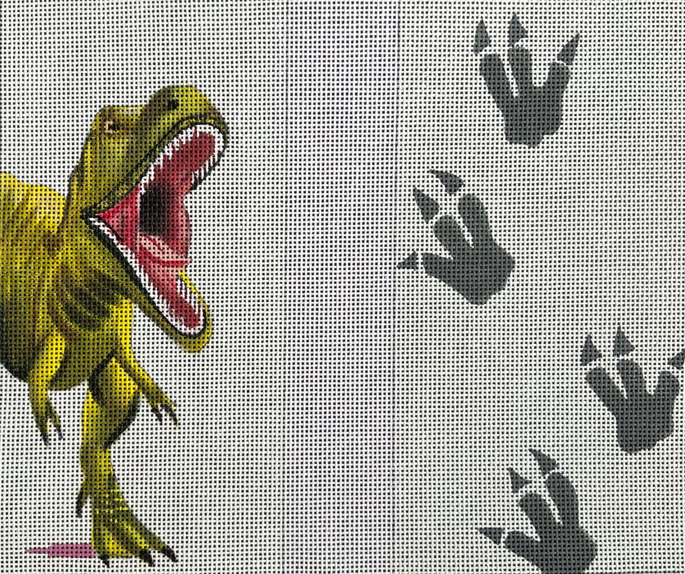 EY239 Dinosaur and Footprints Eyeglass Case